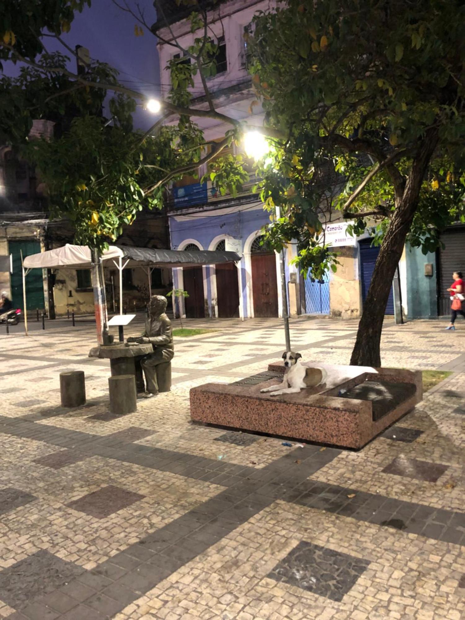 Seu Borba Pousada & Hostel Recife Esterno foto